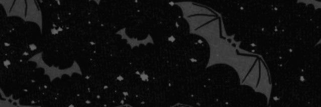 𓆩Naomi𓆪 🦇 banner