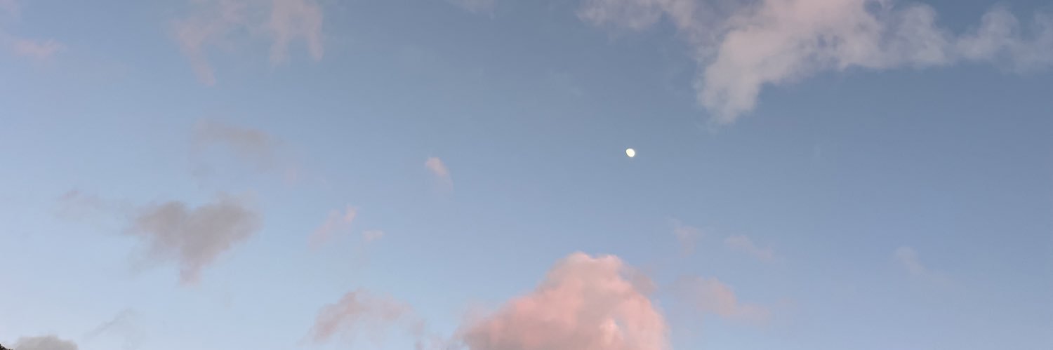 meganjthomp's profile banner image
