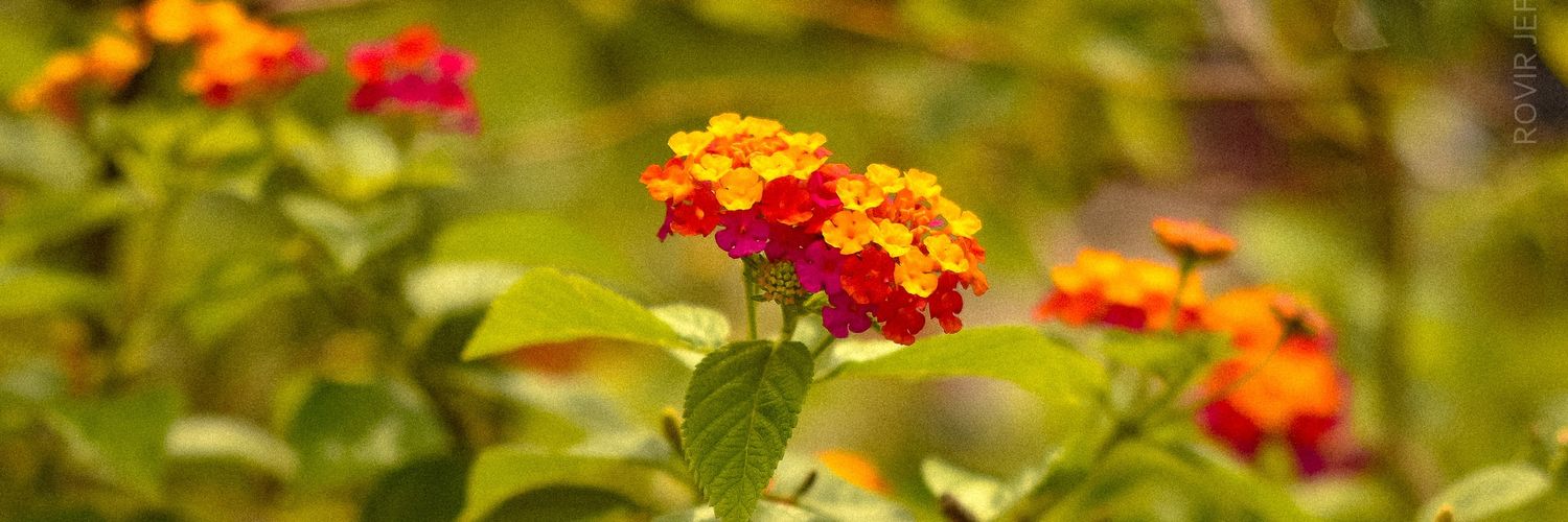 ig_rvstrk's profile banner image