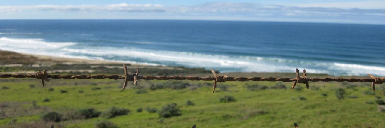 Heli Markkula banner