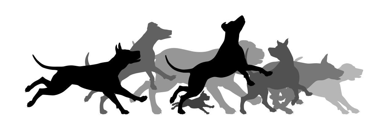 Purebred_Dogs's profile banner image