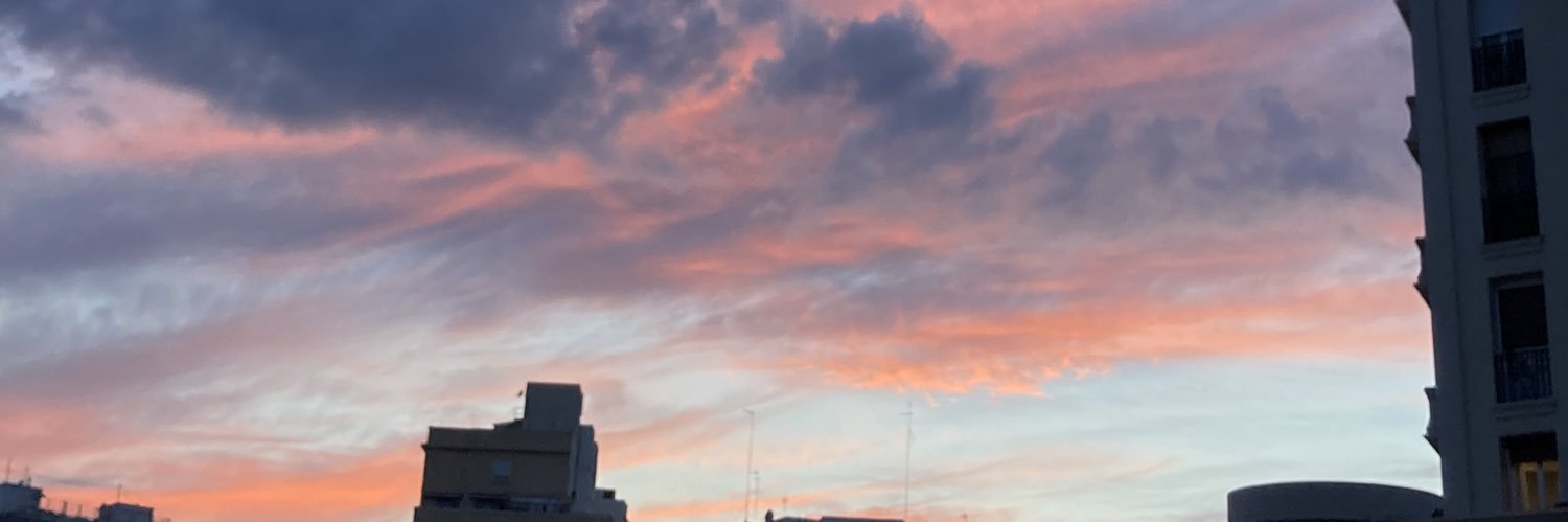 Laura_vidal1's profile banner image
