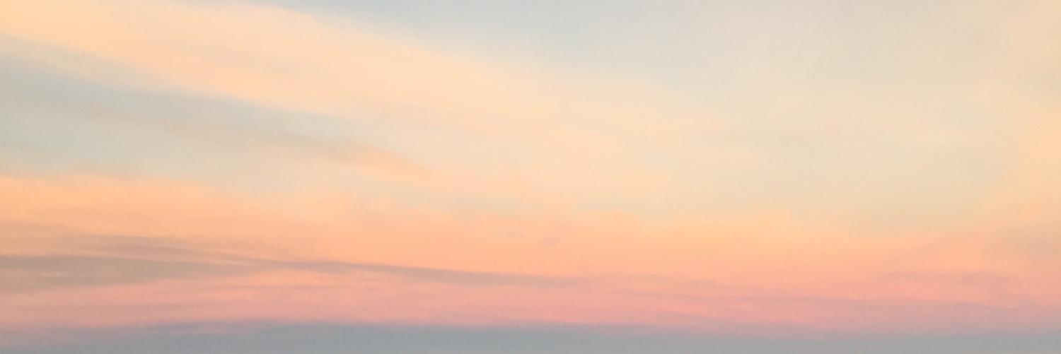 Lulucerone's profile banner image