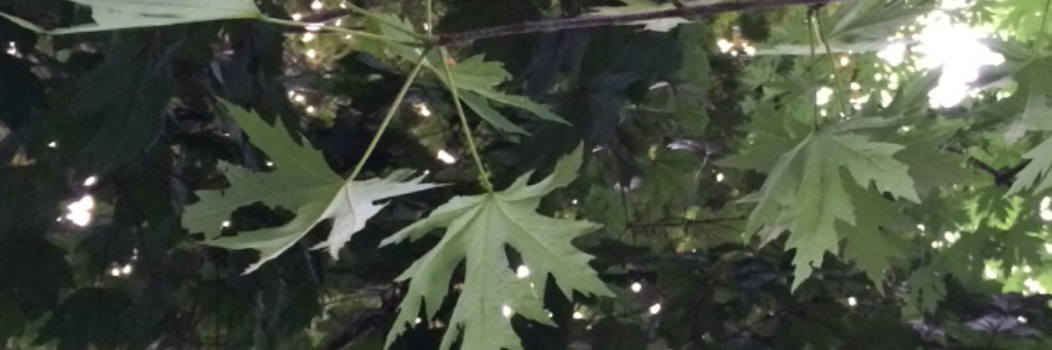 yogadancer7's profile banner image