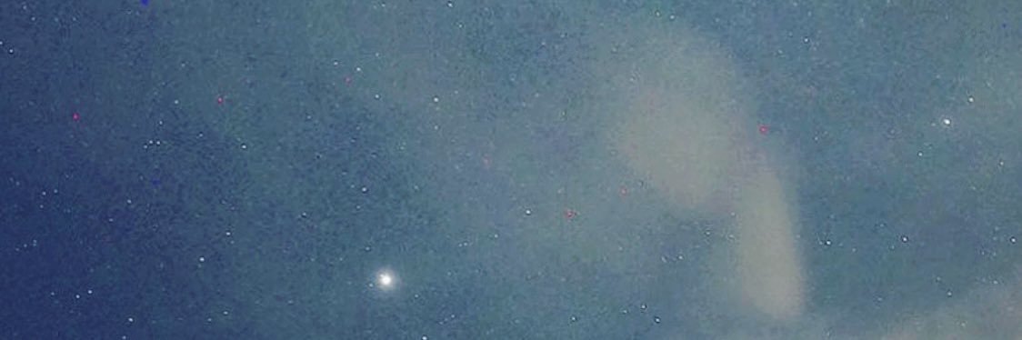 naoxinggg's profile banner image