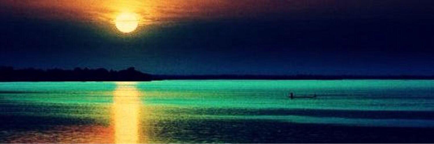 BestTweetMoment's profile banner image