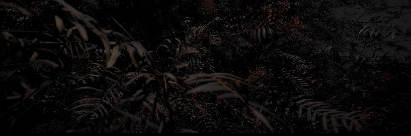 jkwills_'s profile banner image