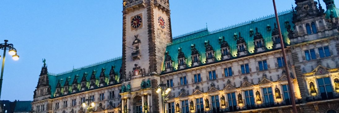 Thilo Kleibauer banner