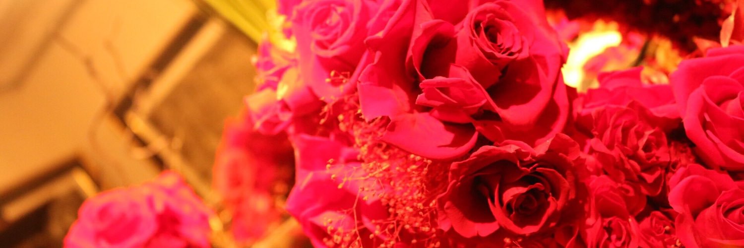 sb_vv's profile banner image