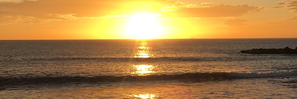 DanDaDaDan Daaaaaaan banner