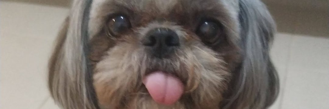 100prilindi's profile banner image