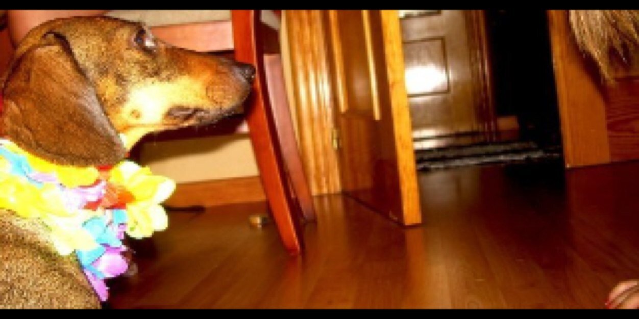 paulaseru's profile banner image