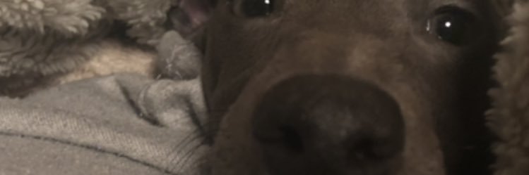 vansstk's profile banner image