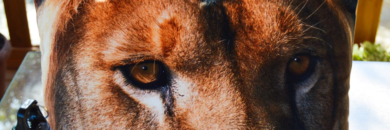 ManPerGam's profile banner image