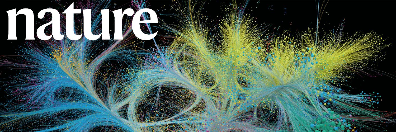 Federico Levi banner