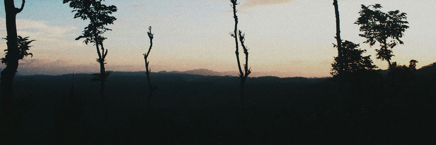 puenxxx's profile banner image