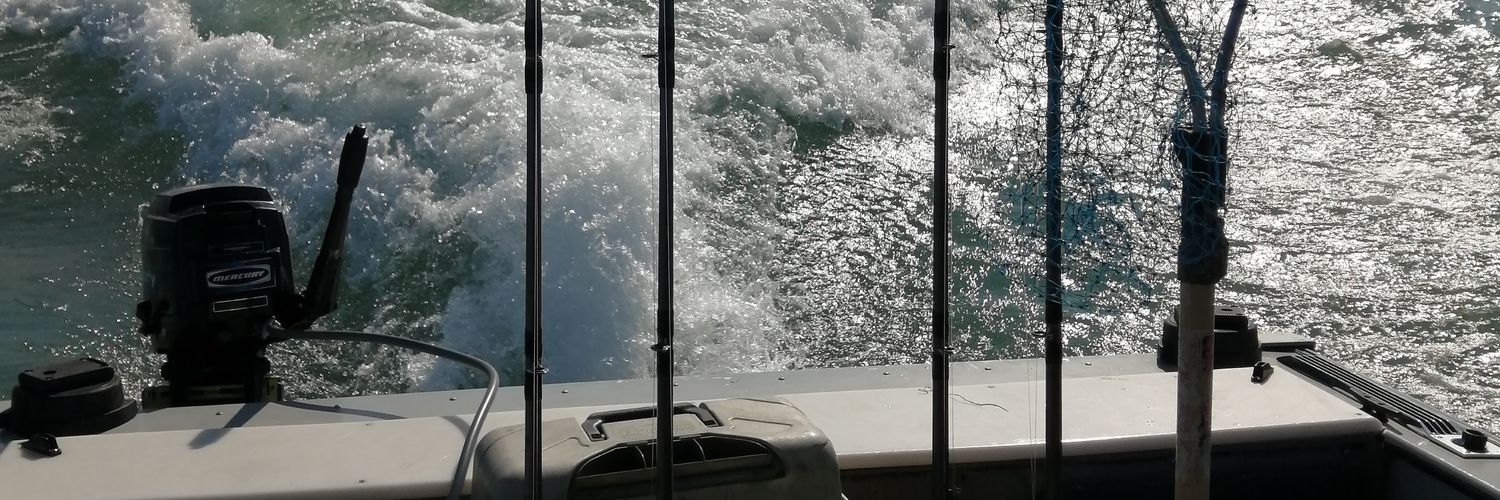 decarlo_kale's profile banner image