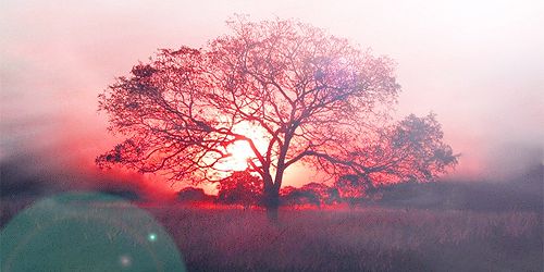Spade_TZ's profile banner image
