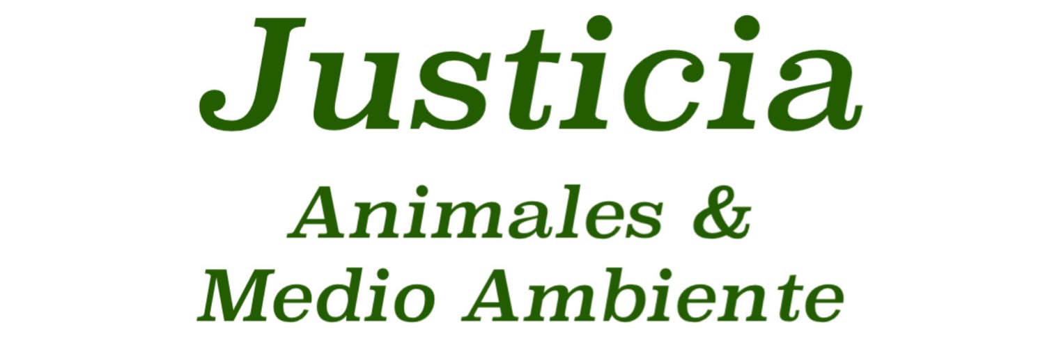 Dulce Aguilera| ABOGADA banner