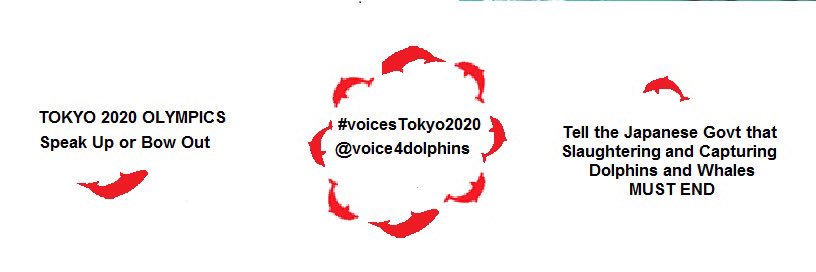 Voices4TaijiDolphins banner