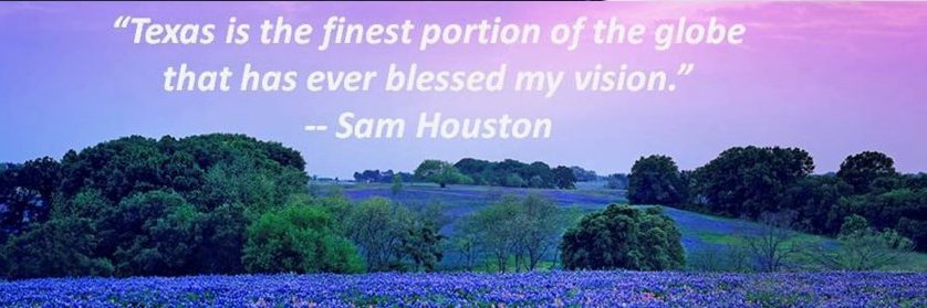 DeeInTheHeartOfTexas banner