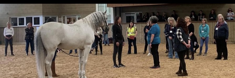 The Leadership Whisperers banner