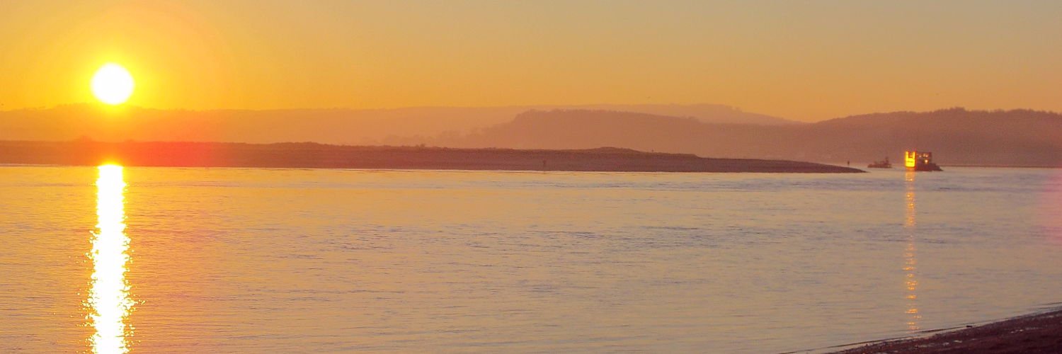 DAldred's profile banner image