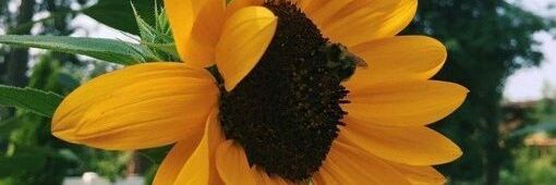 masiba_n's profile banner image