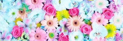 chip0621_kk2's profile banner image