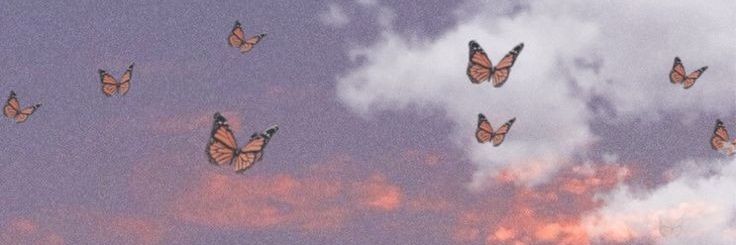 heyitsmesandraf's profile banner image