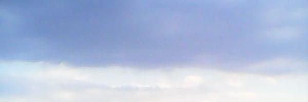Zvvie Profile Banner