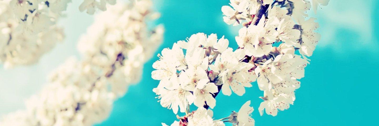 dk_zhou's profile banner image