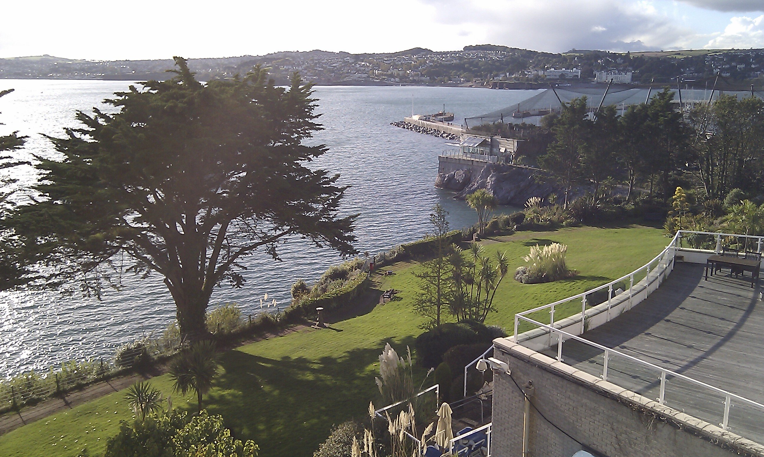 Dave Williams banner