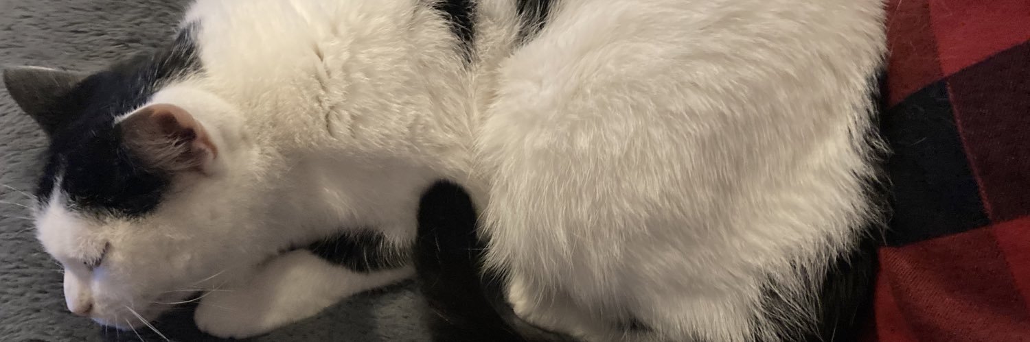 PrecipussCrafts's profile banner image