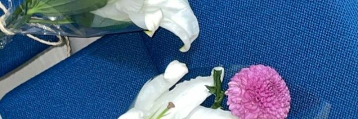 ixnameim's profile banner image