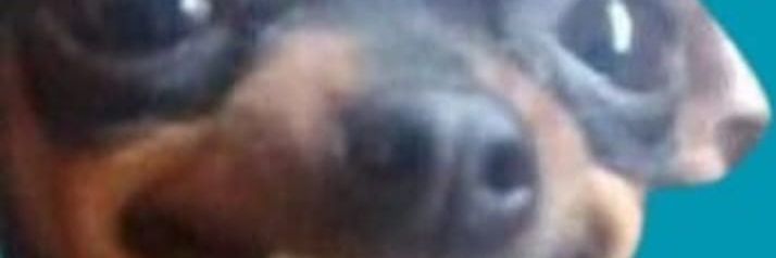 mmaou's profile banner image