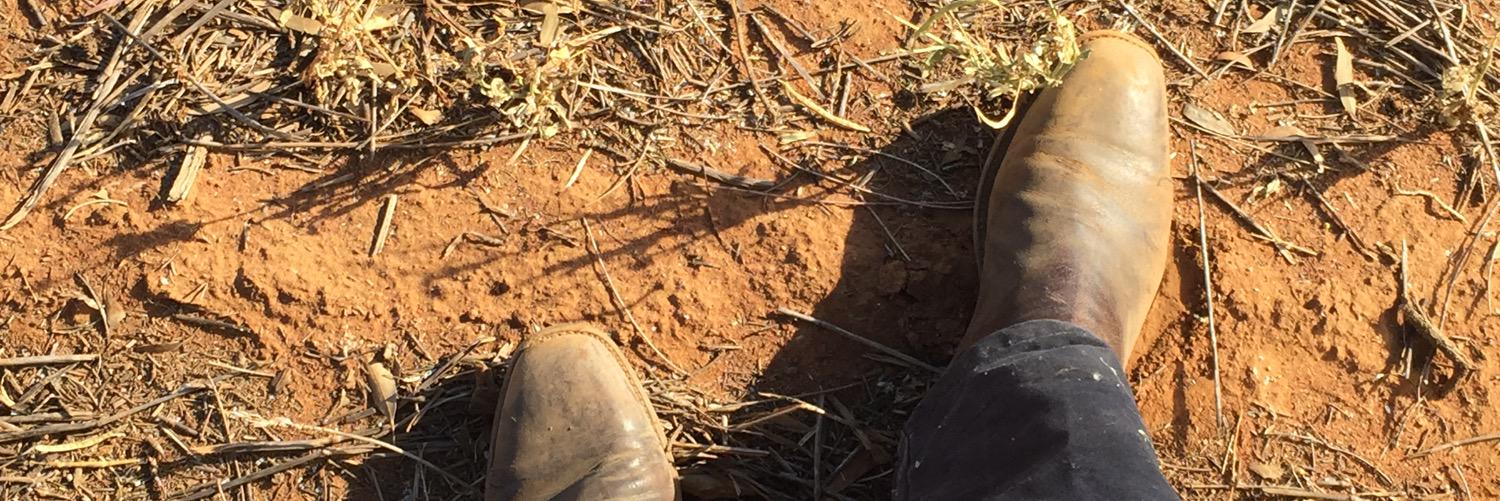 Benjamin Percy banner