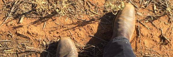 BenjaminPercy1 Profile Banner