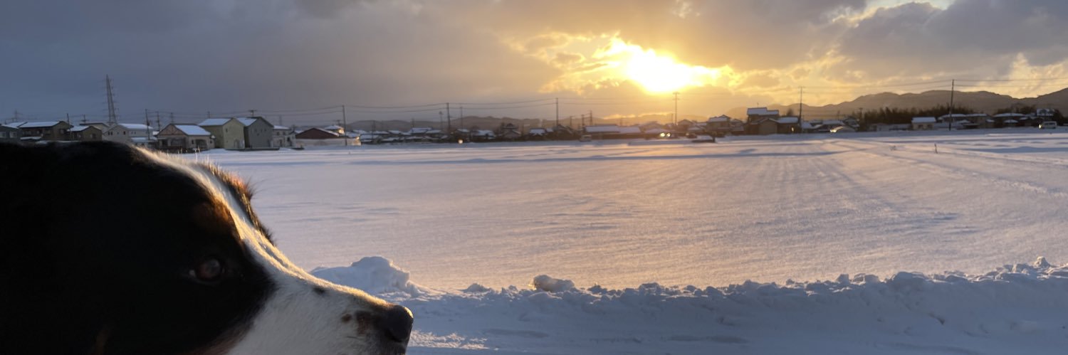 acpbone's profile banner image