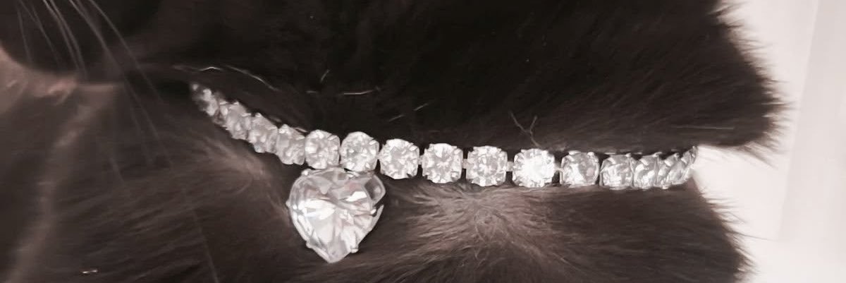 7300AB's profile banner image