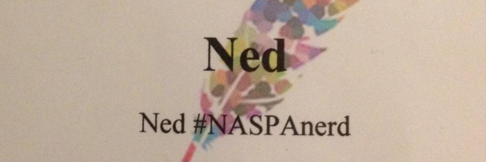 NASPAned's profile banner image