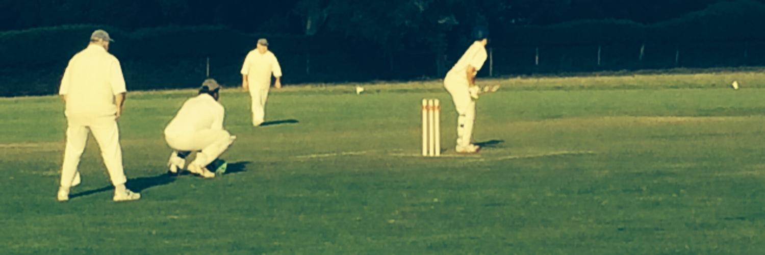 lodsworthCC's profile banner image