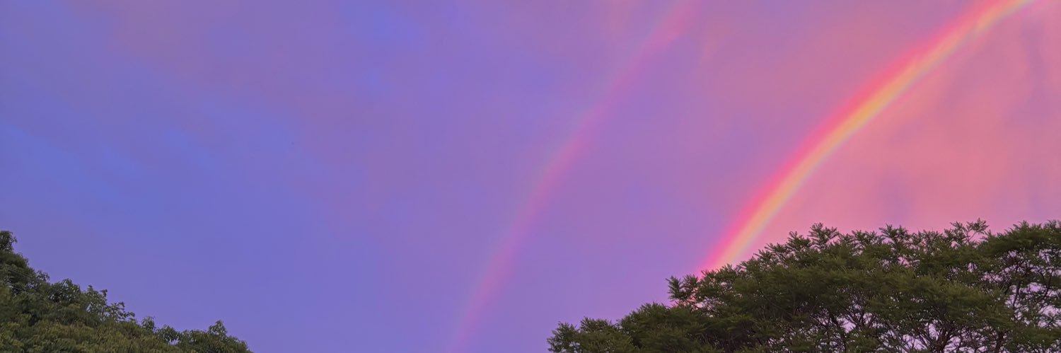 lorranacr_'s profile banner image