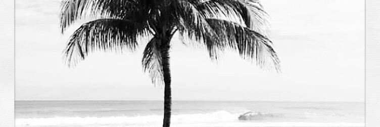 summertowninn's profile banner image