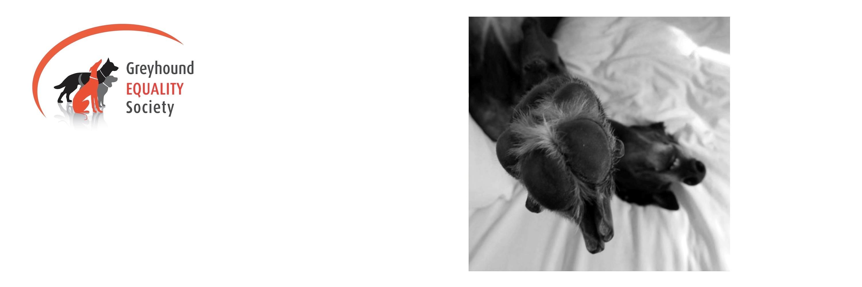 GreyhoundGES's profile banner image
