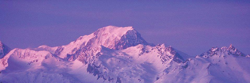 Eric Adamkiewicz banner