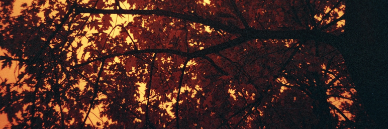 beckymartynelt's profile banner image