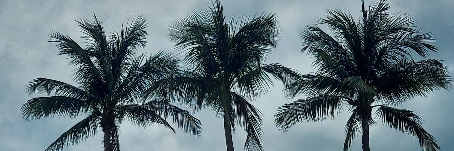 JuniceK4's profile banner image