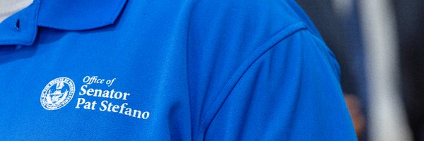 SenatorStefano Profile Banner