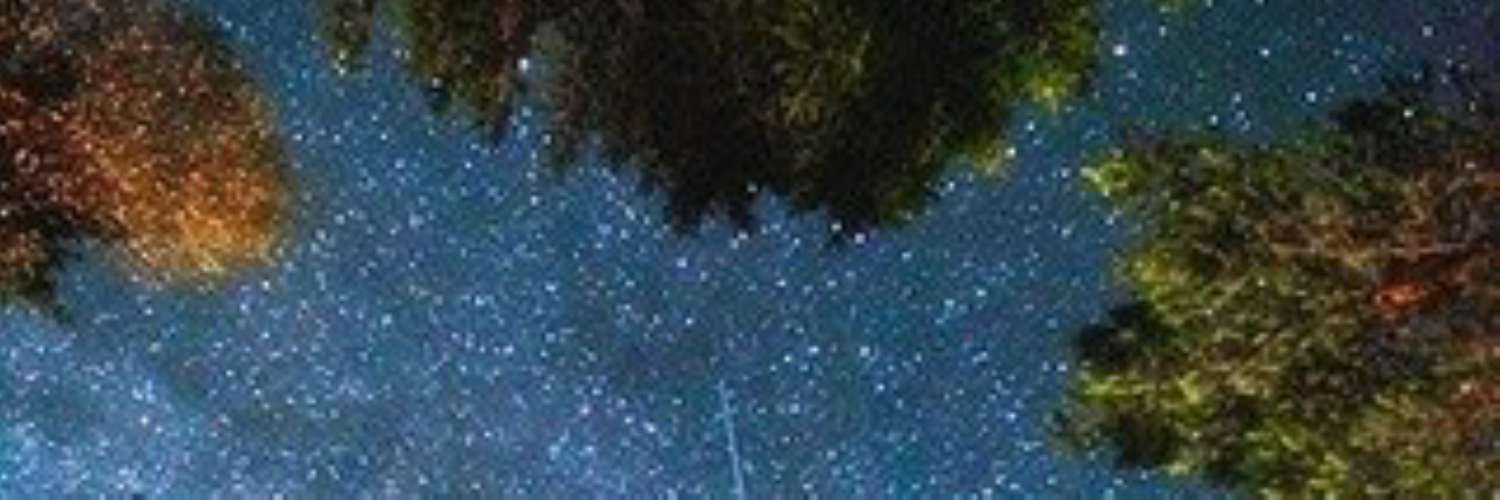 أميرة banner